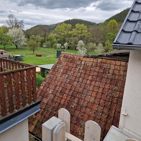 Ferienhaus Reschwitzer Auszeit Saalfeld Saale Екстер'єр фото