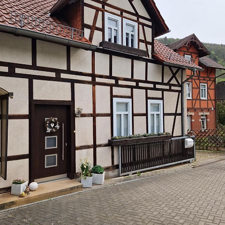 Ferienhaus Reschwitzer Auszeit Saalfeld Saale Екстер'єр фото