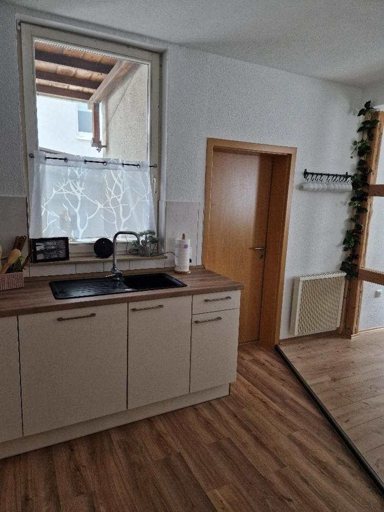 Ferienhaus Reschwitzer Auszeit Saalfeld Saale Екстер'єр фото